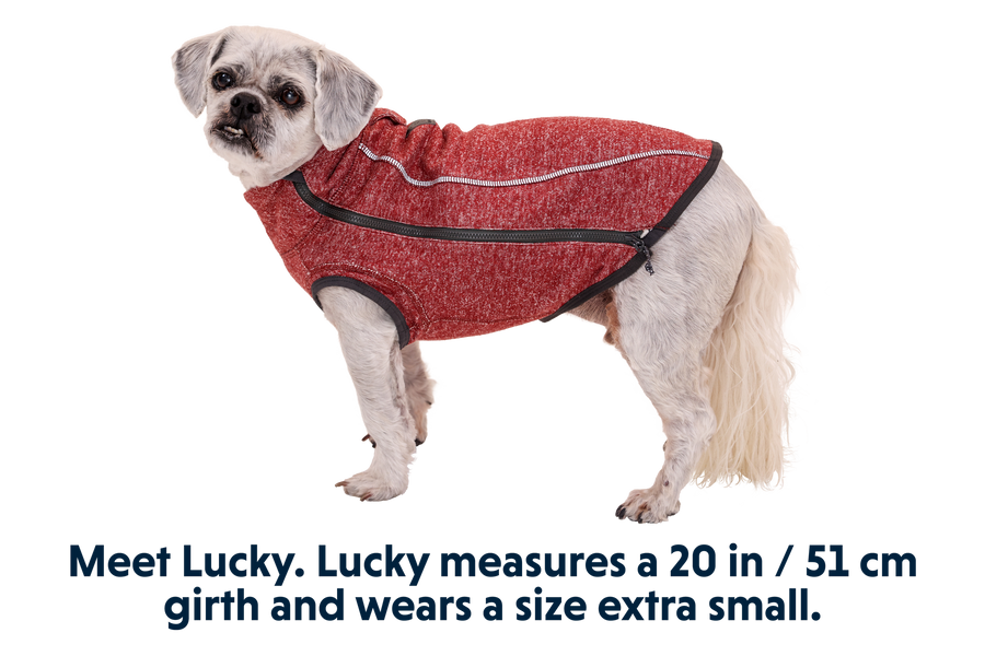 0591_Hemp-Hound_Fired-Brick_LUCKY_XSmall.png
