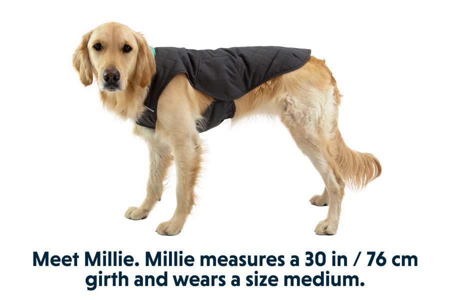 0595_Stumptown_Twilight-Gray_MILLIE_Medium_517f13ca-67aa-49da-a4ae-60ec7f03d0c4.png