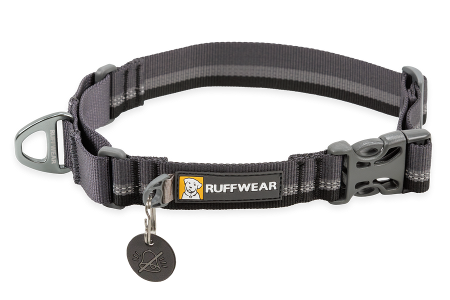 25651_Web-Reaction-Collar-Basalt-Gray-Front_SMALL_f6f21e5a-34e1-4fee-b6af-ed7048791517.png