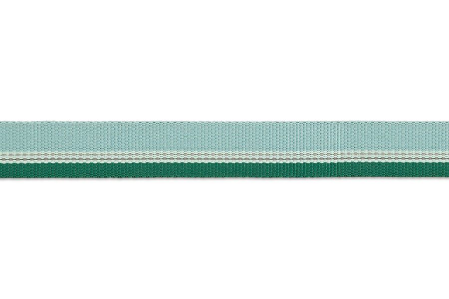 25703_Chain-Reaction-Collar_River-Rock-Green_WEBBING_SMALL_bca9043a-19ae-4097-a977-b57884c52a57.png