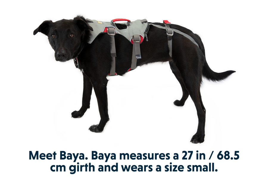 30301_Doubleback-Harness_Cloudburst-Gray_Leg-Loops_BAYA_Small_05d0c279-9dbf-4491-a80a-7b73eb339a9e.png