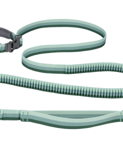Roamer™ Bungee Dog Leash