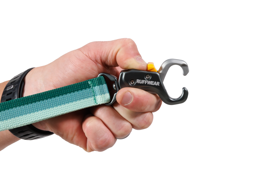 Clip-Studio.png
