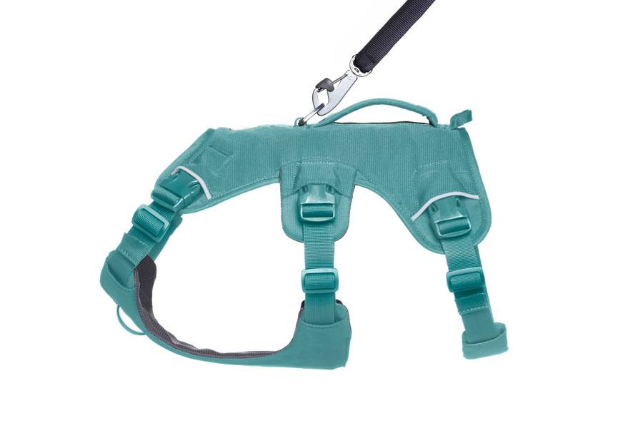 CompressedPNG-30104_Web-Master-Harness_River_Rock_Green-H1-STUDIO.png
